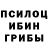 Псилоцибиновые грибы GOLDEN TEACHER funny bts
