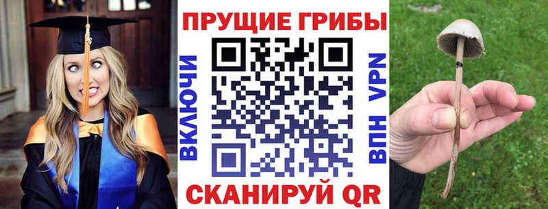 хочу   Ворсма  kraken   Псилоцибиновые грибы ЛСД 